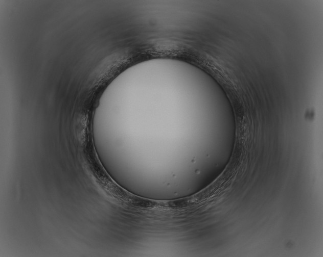 X0000091070742200708271215
