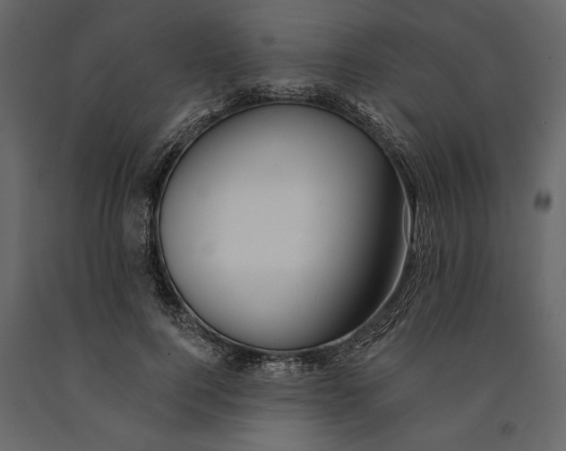 X0000091070744200708271216