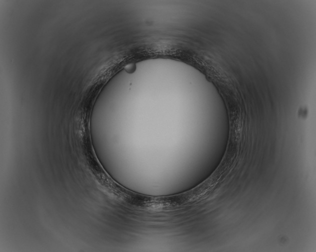 X0000091070746200708271216