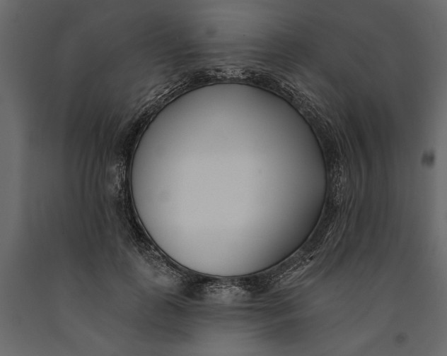 X0000091070747200708271216