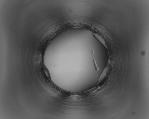 X0000091070748200708271216