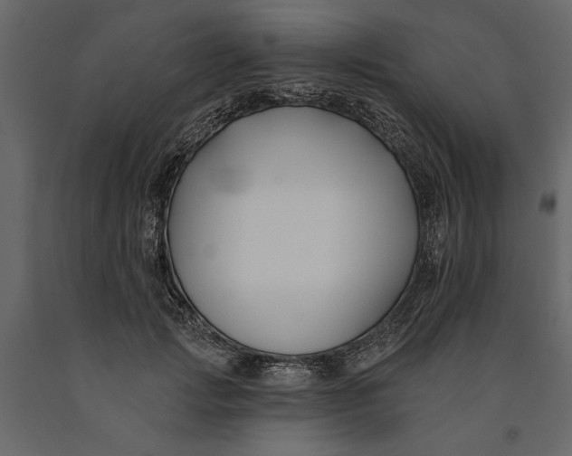X0000091070749200708271216