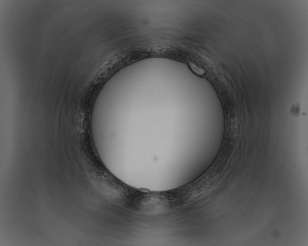 X0000091070750200708271216