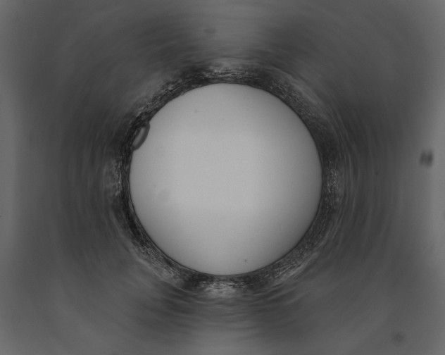 X0000091070751200708271216