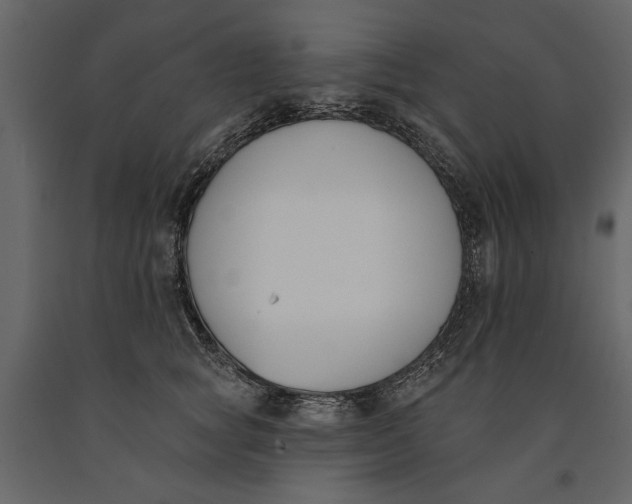 X0000091070757200708271216