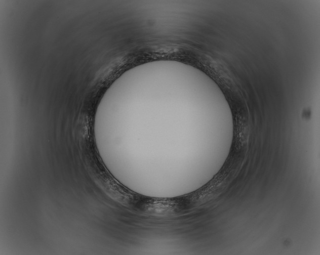 X0000091070758200708271216