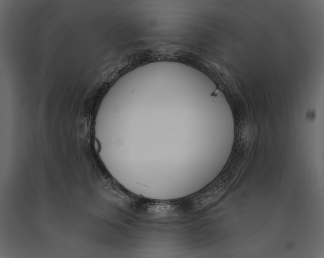 X0000091070759200708271216