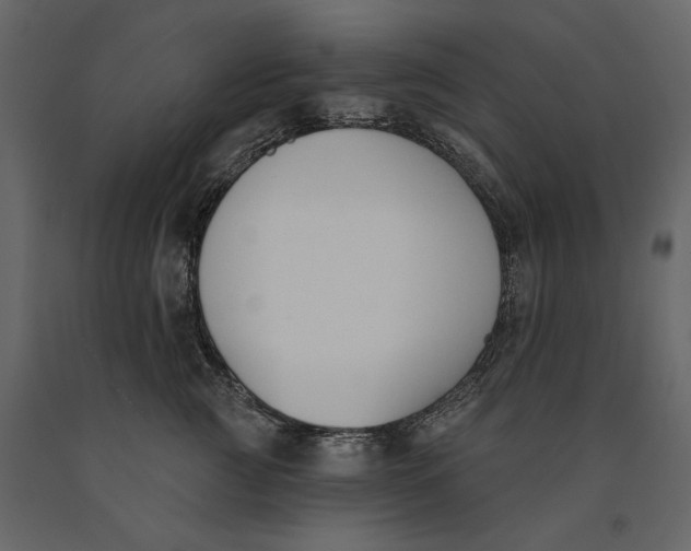 X0000091070761200708271216