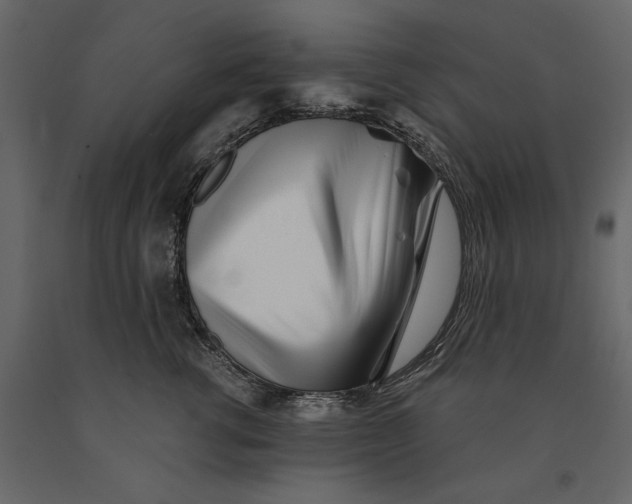 X0000091070762200708271216