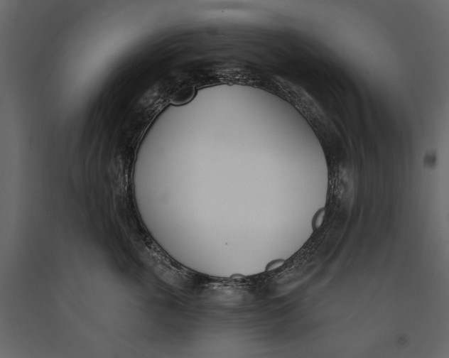 X0000091070763200708271216