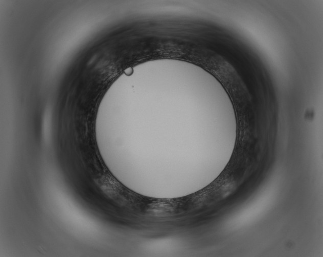 X0000091070765200708271216