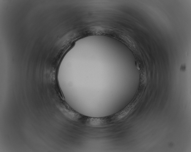 X0000091070766200708271216