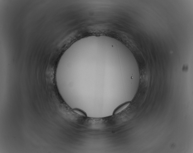 X0000091070767200708271216