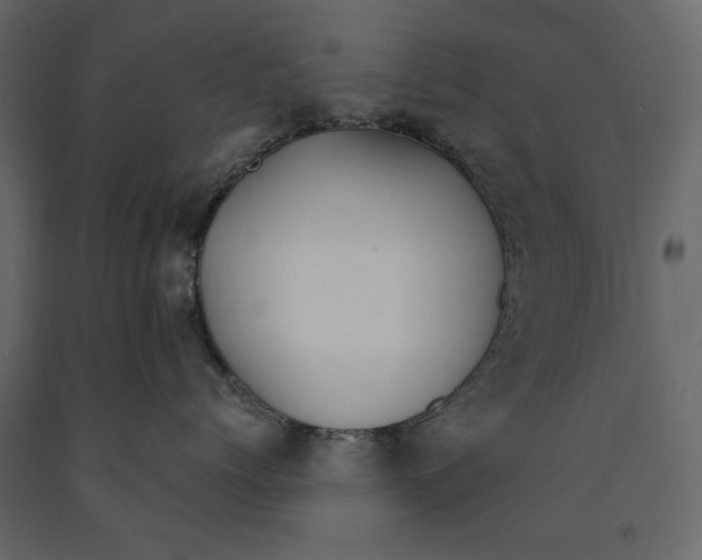 X0000091070768200708271216