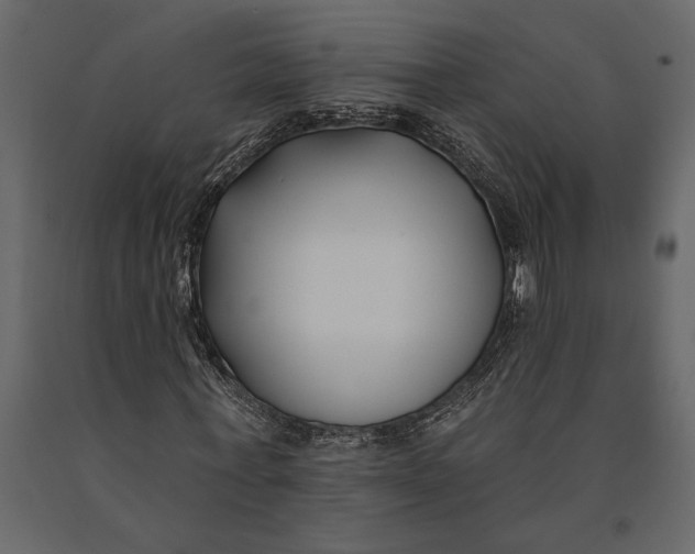 X0000091070771200708271215