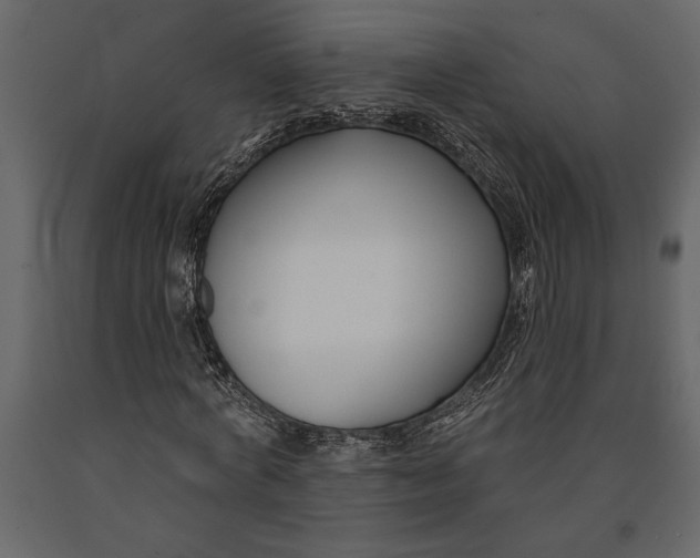 X0000091070772200708271215