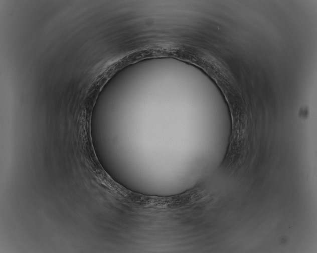 X0000091070773200708271215
