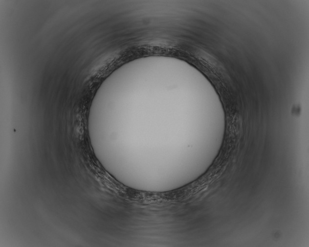 X0000091070774200708271215