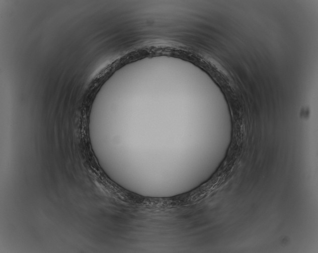 X0000091070775200708271215
