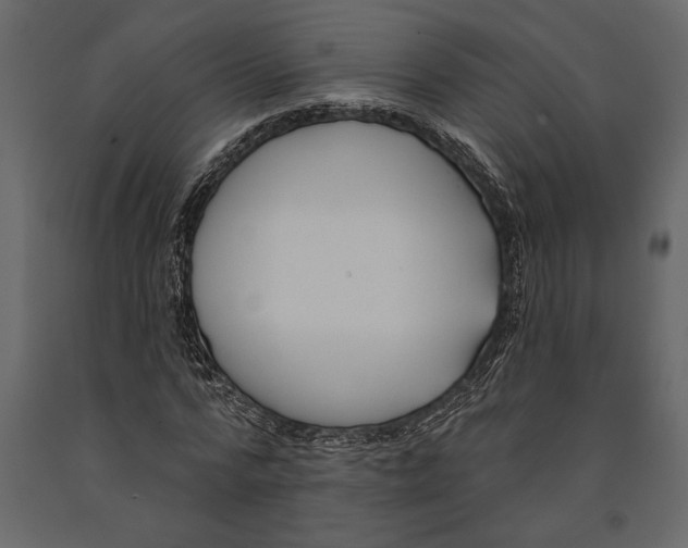 X0000091070776200708271215