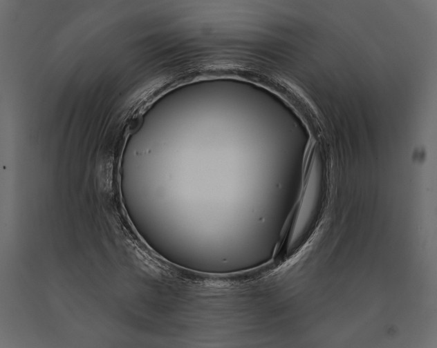 X0000091070777200708271215