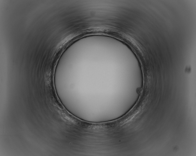 X0000091070778200708271215