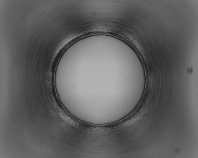 X0000091070779200708271215