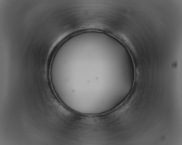 X0000091070780200708271215