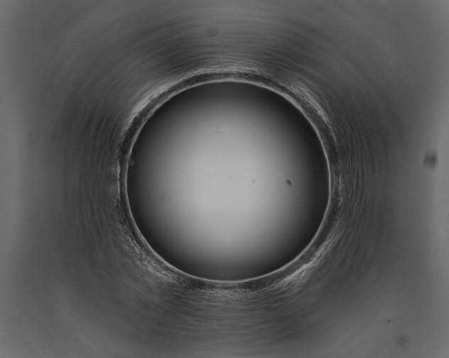 X0000091070781200708271215