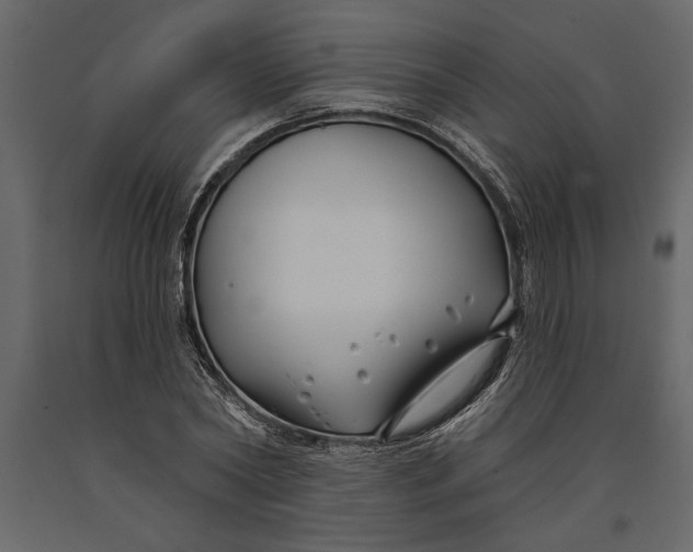 X0000091070782200708271215