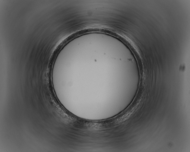 X0000091070783200708271215