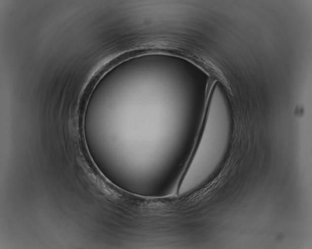 X0000091070784200708271215