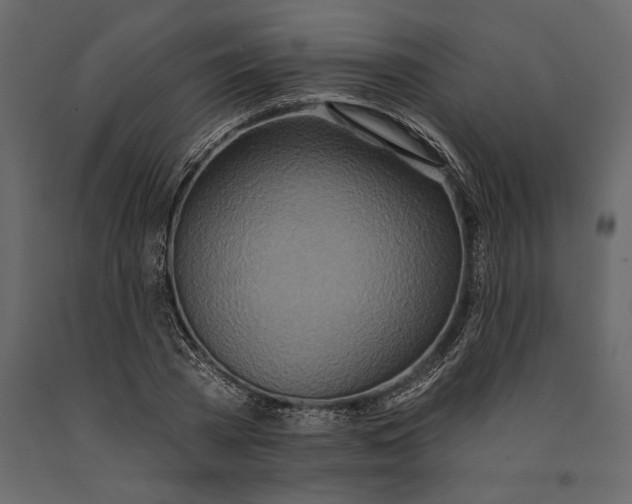 X0000091070785200708271215