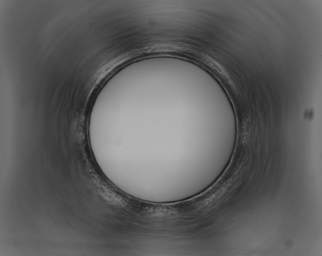 X0000091070786200708271215