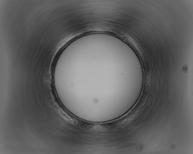 X0000091070787200708271215