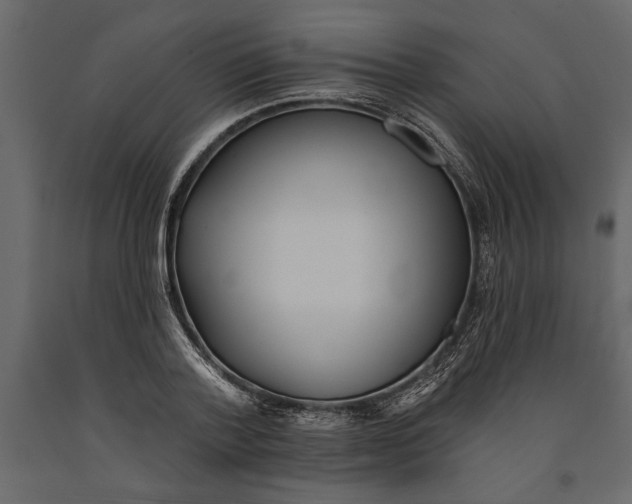 X0000091070788200708271215