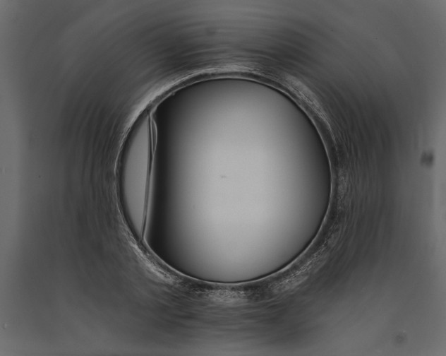 X0000091070789200708271215