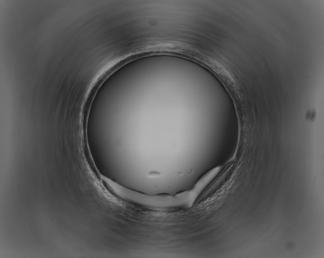 X0000091070792200708271215