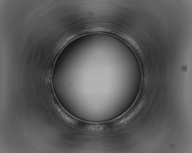 X0000091070793200708271215