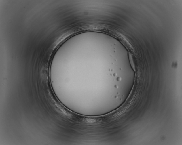 X0000091070794200708271215