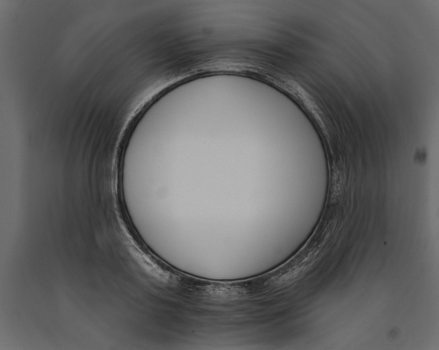 X0000091070795200708271215