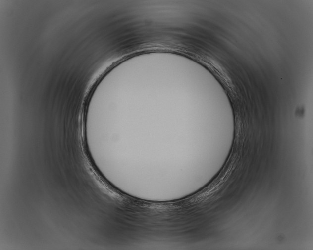 X0000091070796200708271215