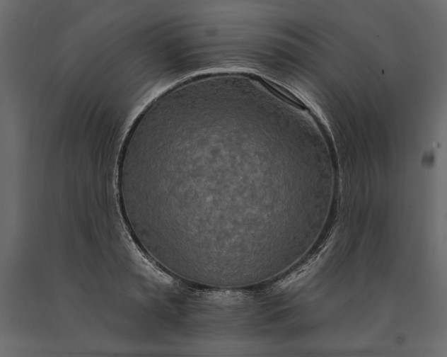 X0000091070797200708271215