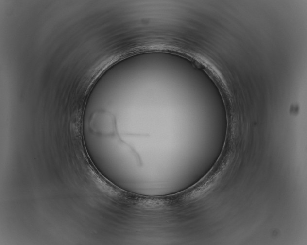 X0000091070801200708271215
