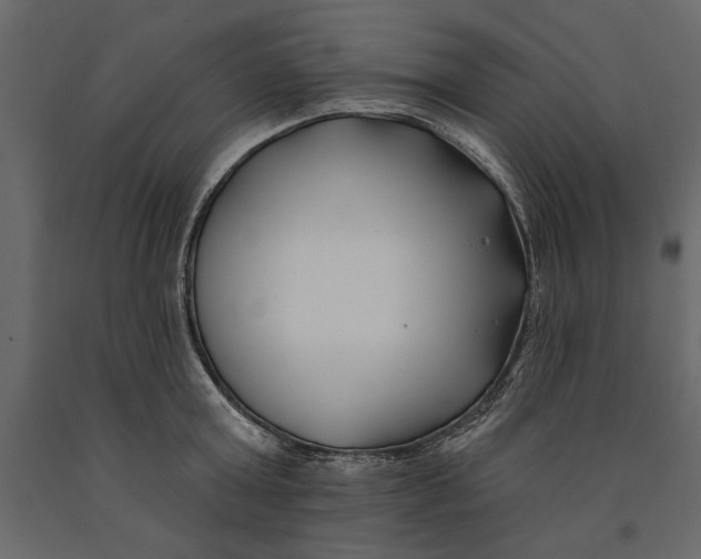 X0000091070803200708271215