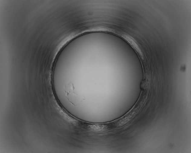X0000091070805200708271215