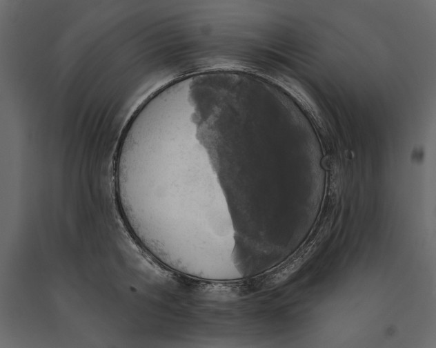 X0000091070806200708271215