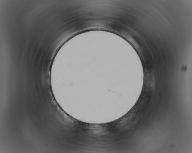 X0000091070807200708271215