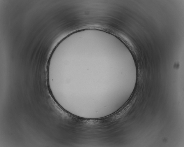 X0000091070808200708271215
