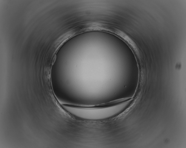 X0000091070809200708271215